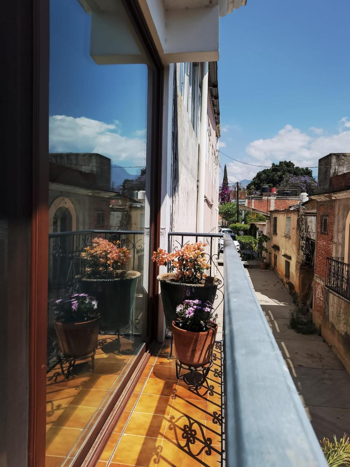 Boca Del Monte By Diablo Y La Sandia B&B 오아하카주 외부 사진