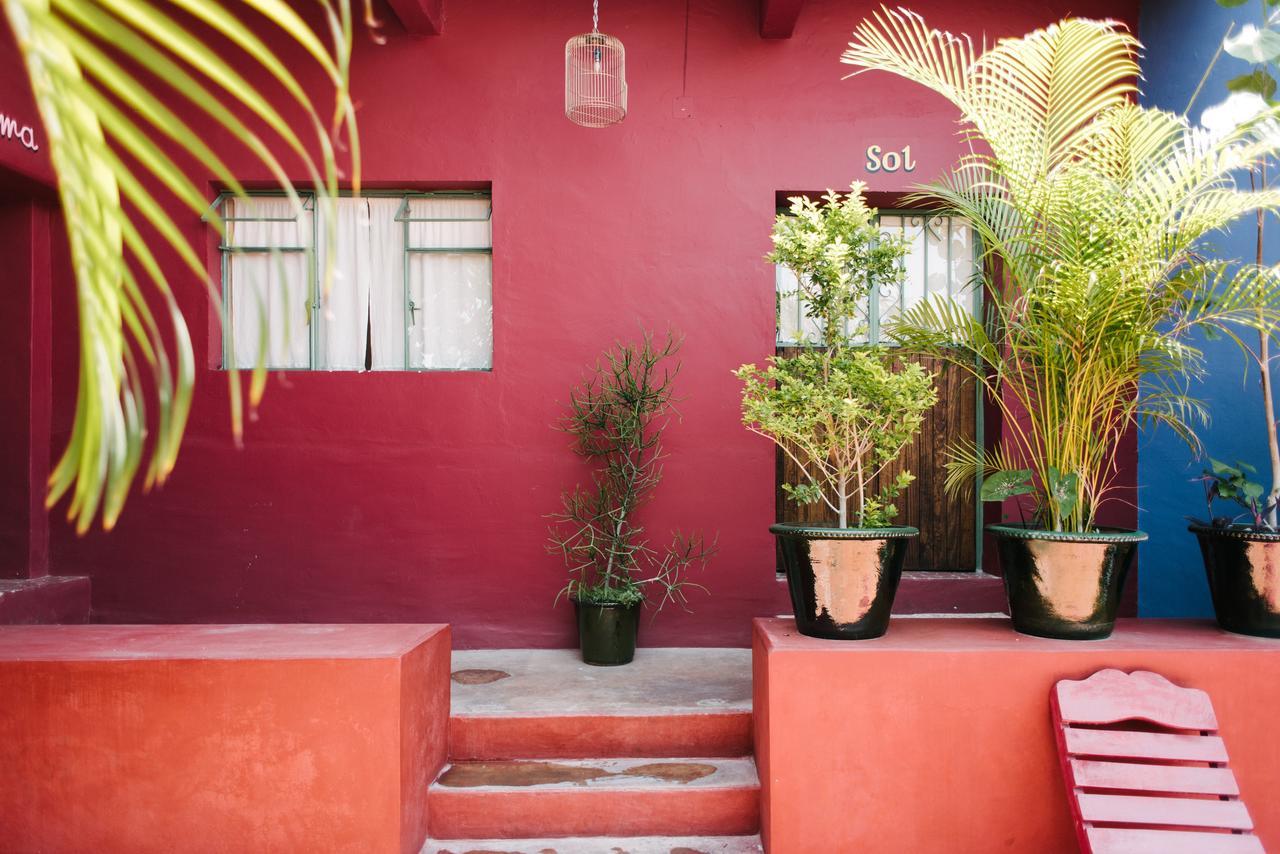 Boca Del Monte By Diablo Y La Sandia B&B 오아하카주 외부 사진